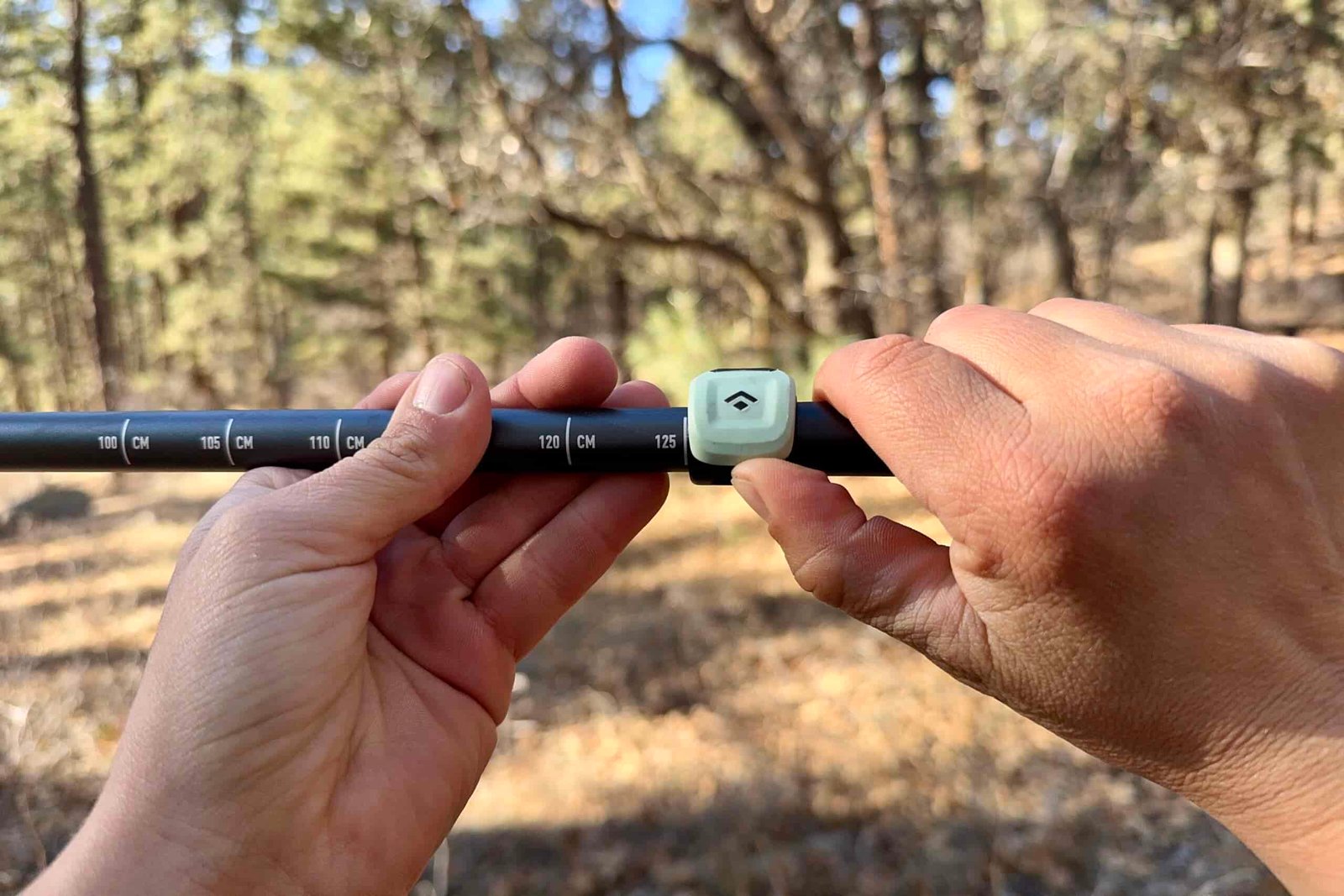 A close up of a hand closing a flick lock with trees in the background.