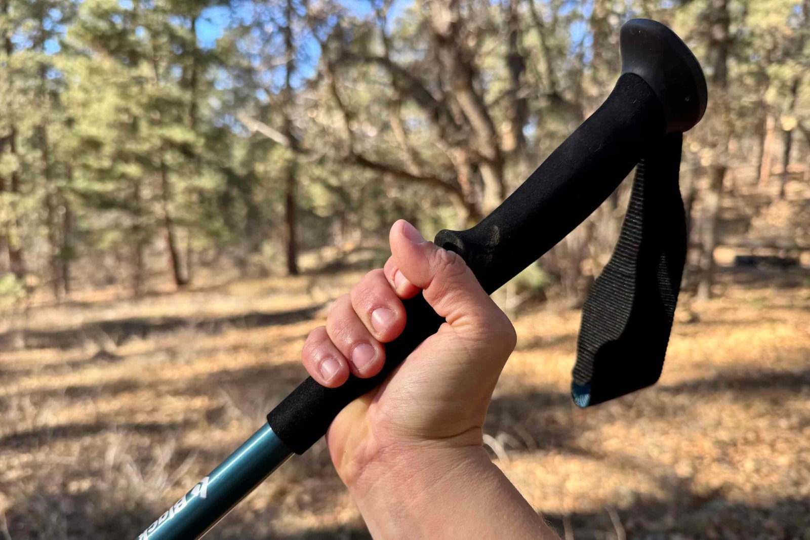 A close up of a hand holding the foam grip of the Black Diamond Trail Back pole with a forest in the background.