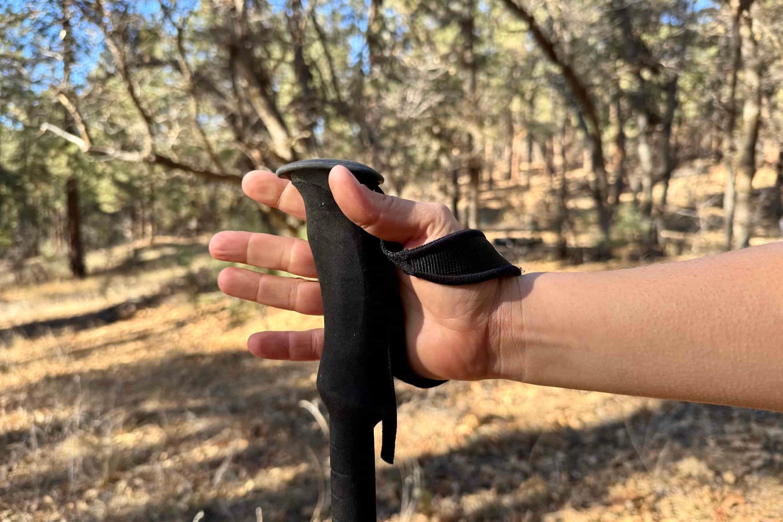 A close up of a hand holding the foam grip of the REI Flash Carbon pole with a forest in the background.