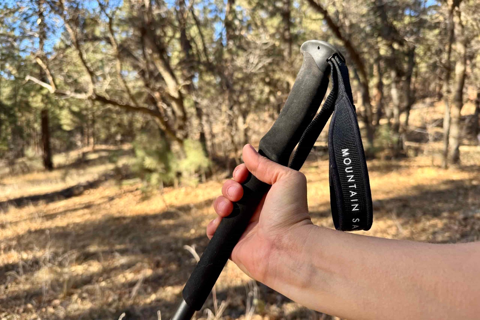 A close up of a hand holding the foam grip of the REI Flash Carbon pole with a forest in the background.