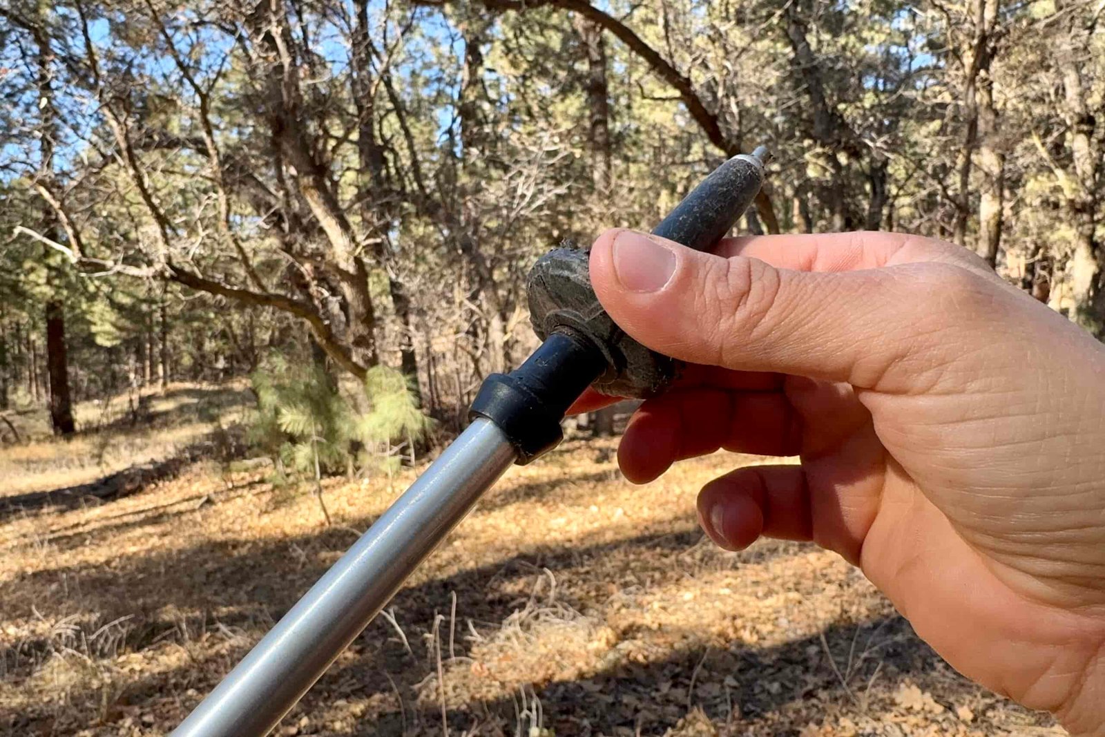 A close up of a hand manipulating a basket on a trekking pole. There is a forest in the background.