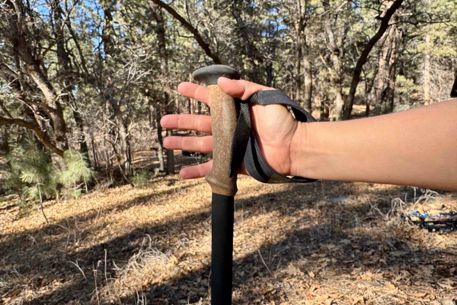 A close up of a hand holding the cork grip of the Black Diamond Alpine Carbon Cork pole with a forest in the background.