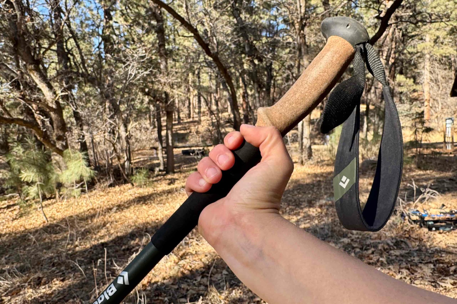 A close up of a hand holding the cork grip of the Black Diamond Alpine Carbon Cork pole with a forest in the background.