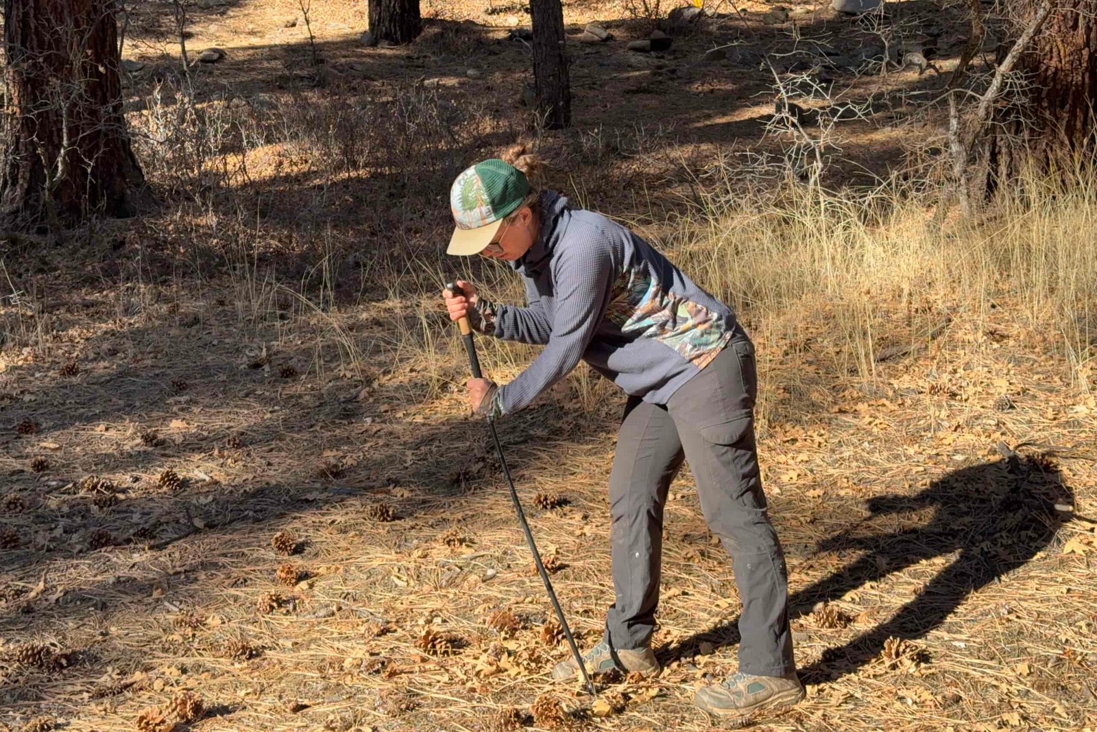 A person is leaning on a trekking pole in the forest.