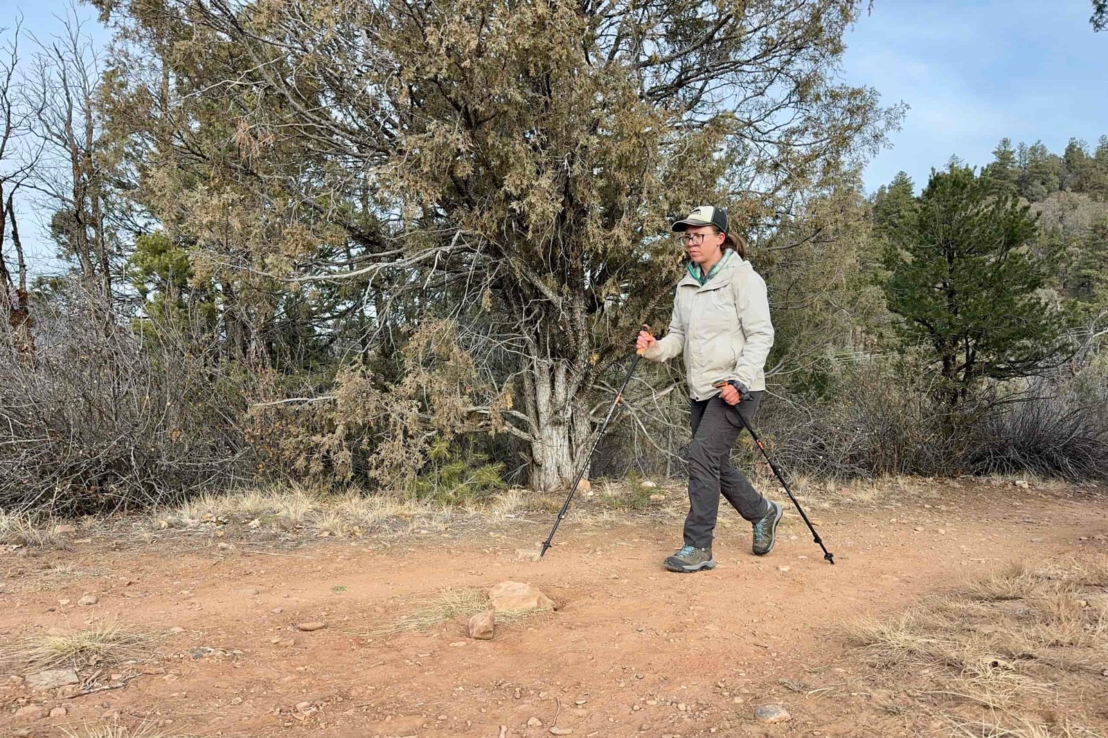 A person is walking down a trail in the forest using some trekking poles.