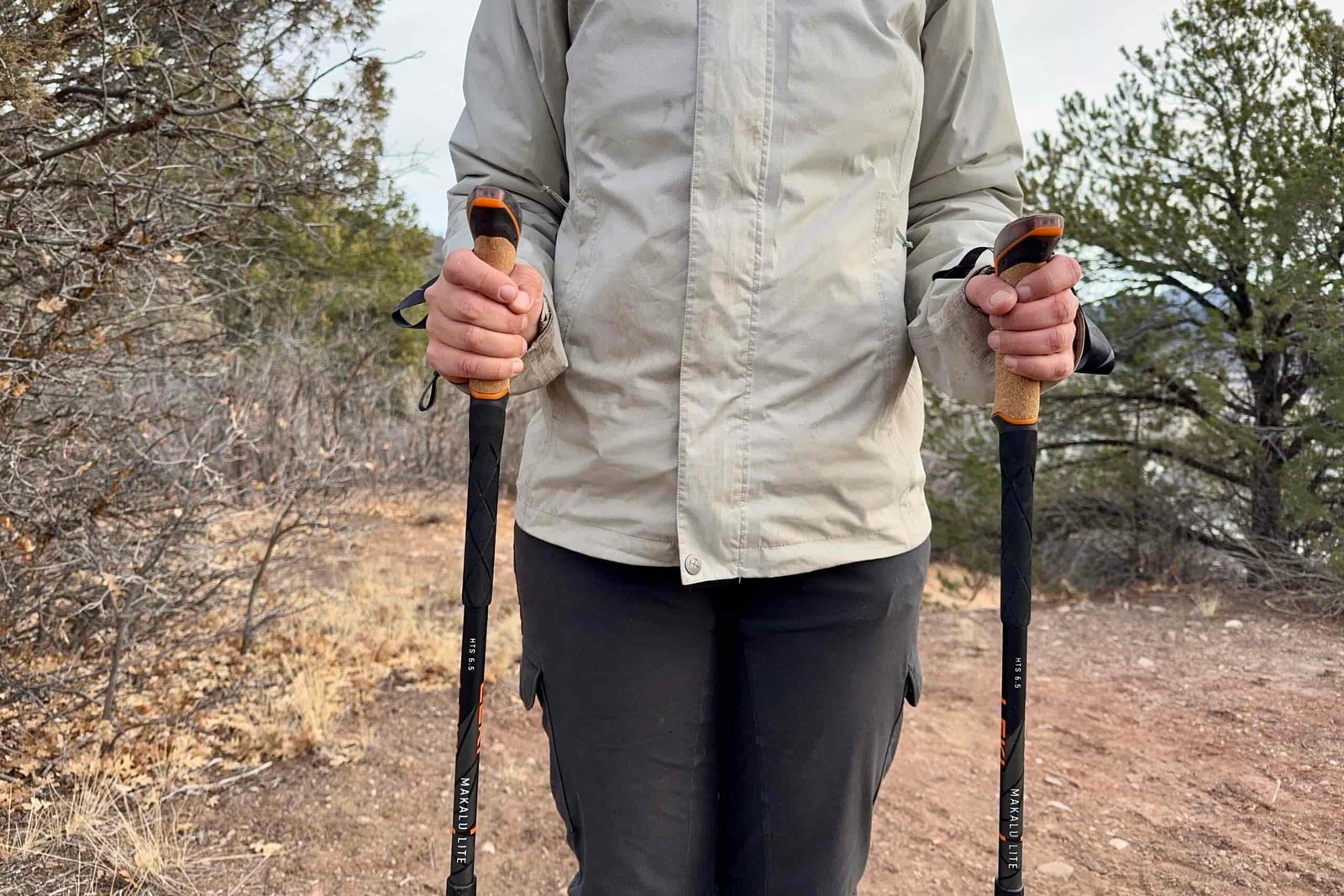 A close up of a person's hands holding two trekking poles at hip height with their torso in the background. There are trees behind the person.