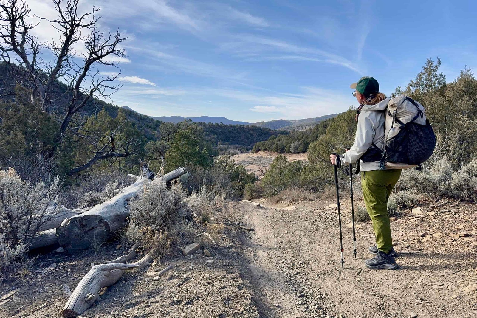 A person is standing next to a trail looking out into a valley. They are wearing a backpack and holding some trekking poles.