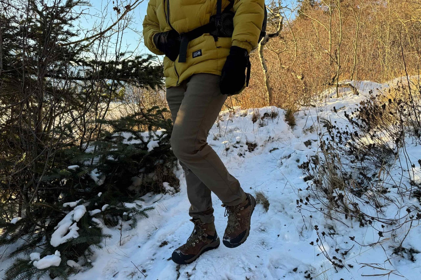 A man walks on a snowy hill in the shade of a tree.