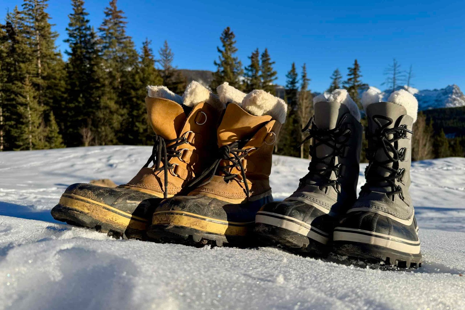 A pair of brown Sorels sits next to a pair of gray Sorels in the snow with woods in the background.