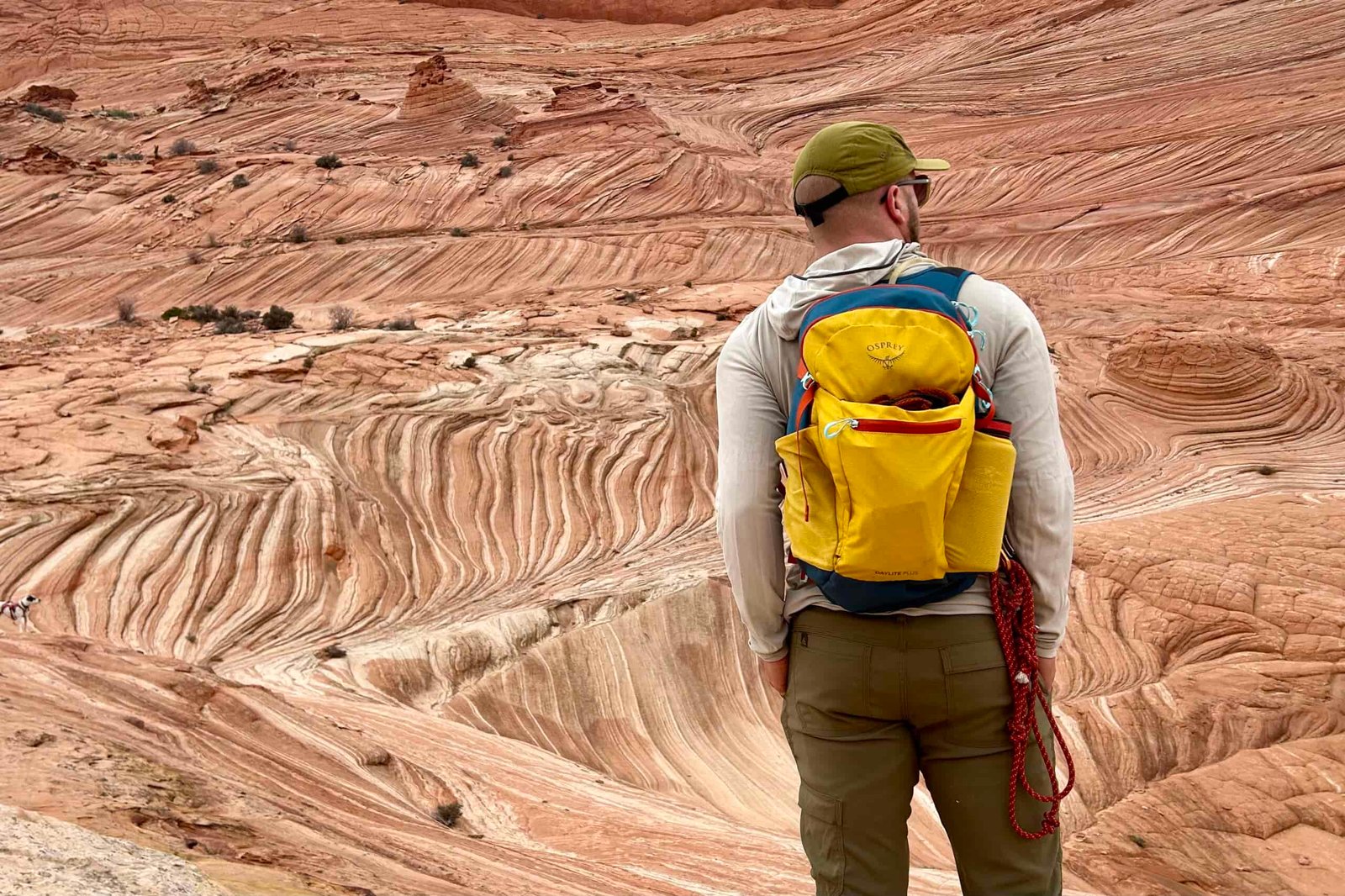 A man looks into the distance in a desert landscape.