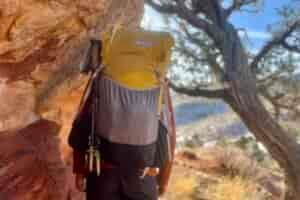 A hiker wearing the fully packed Gorilla 50 backpack facing away from the camera with a tree and desert scene in the background.