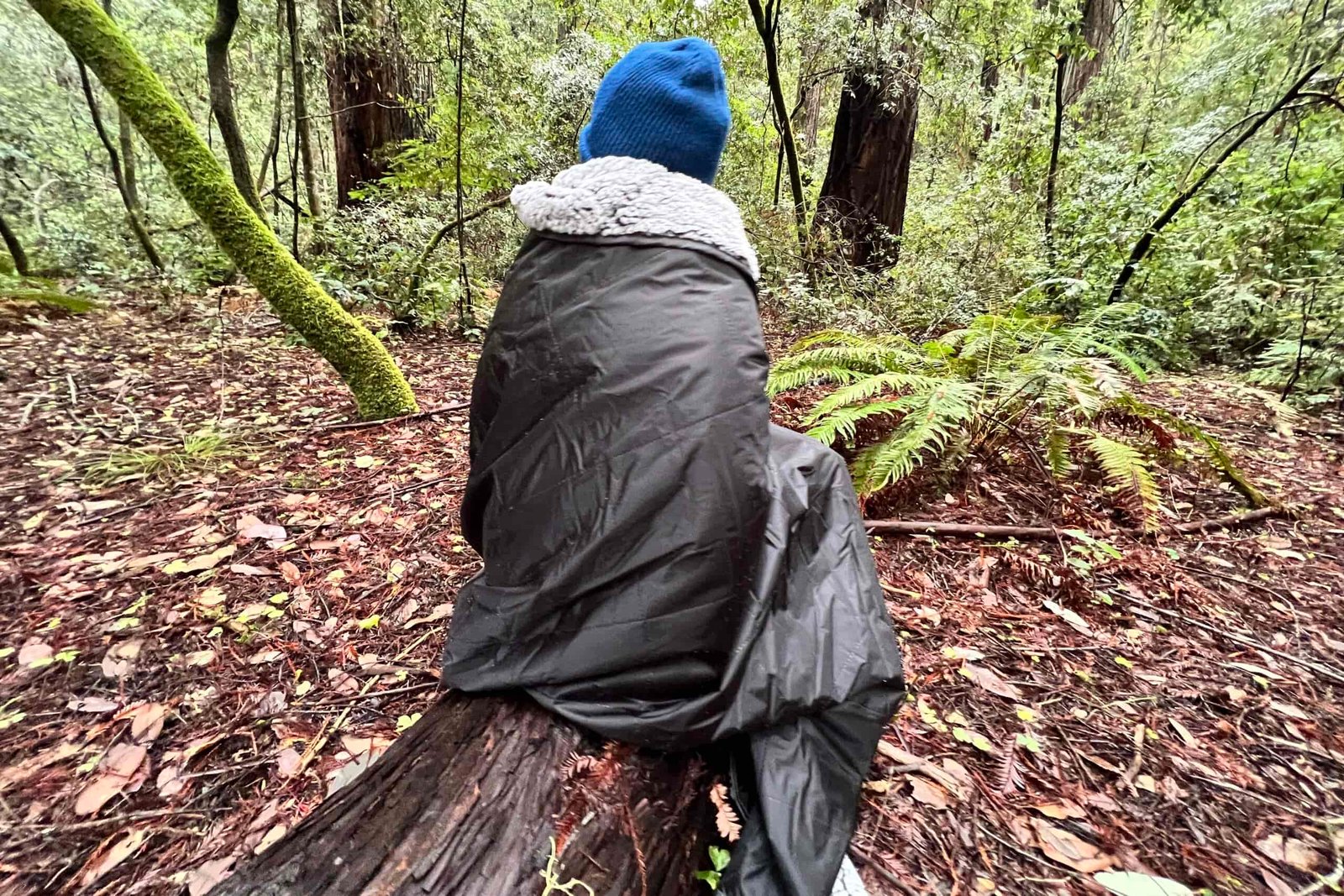 Women wrapped up in the Oceas Sherpa Fleece Blanket while sitting on a log in the redwoods.