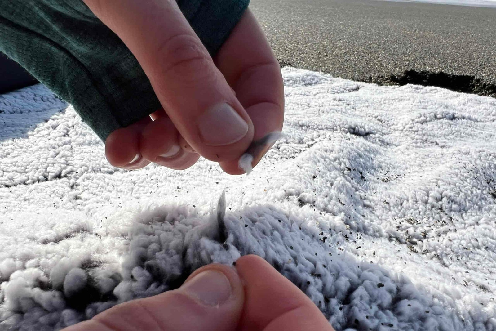 Close-up showing the fleece lining of the Oceas Sherpa Fleece Blanket starting to shed and fall out.