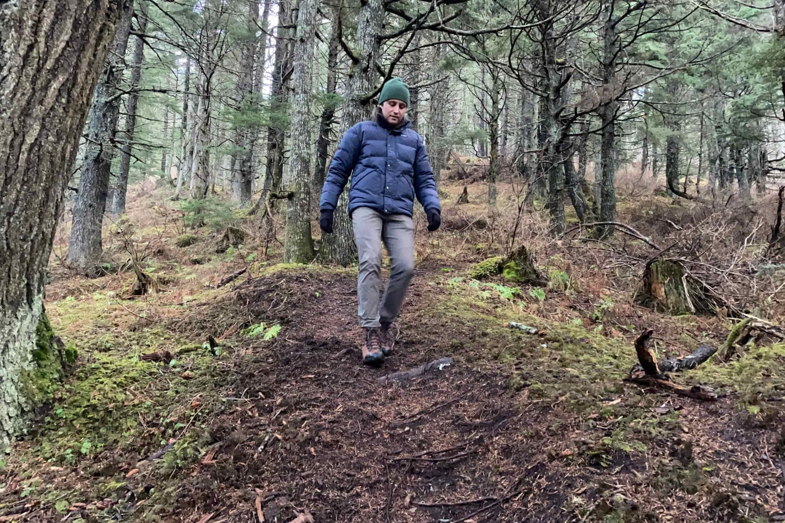 A man hikes through a damp forest.