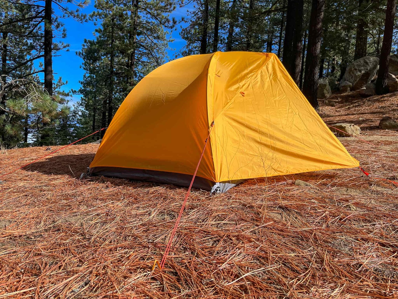 Low angle perspective of the REI Trail Hut 2 showing the tension system and forest in the background