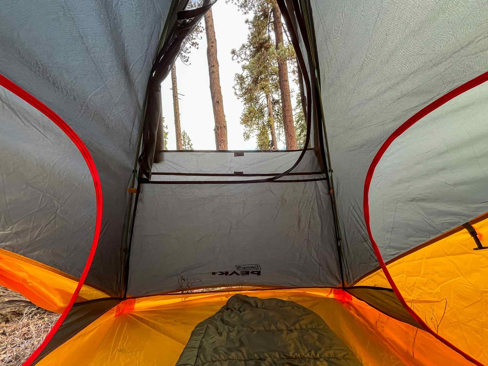 Inside view of the Coleman peak 1 facing toward the foot of the tent looking up through the roof panel where pine trees are visible.