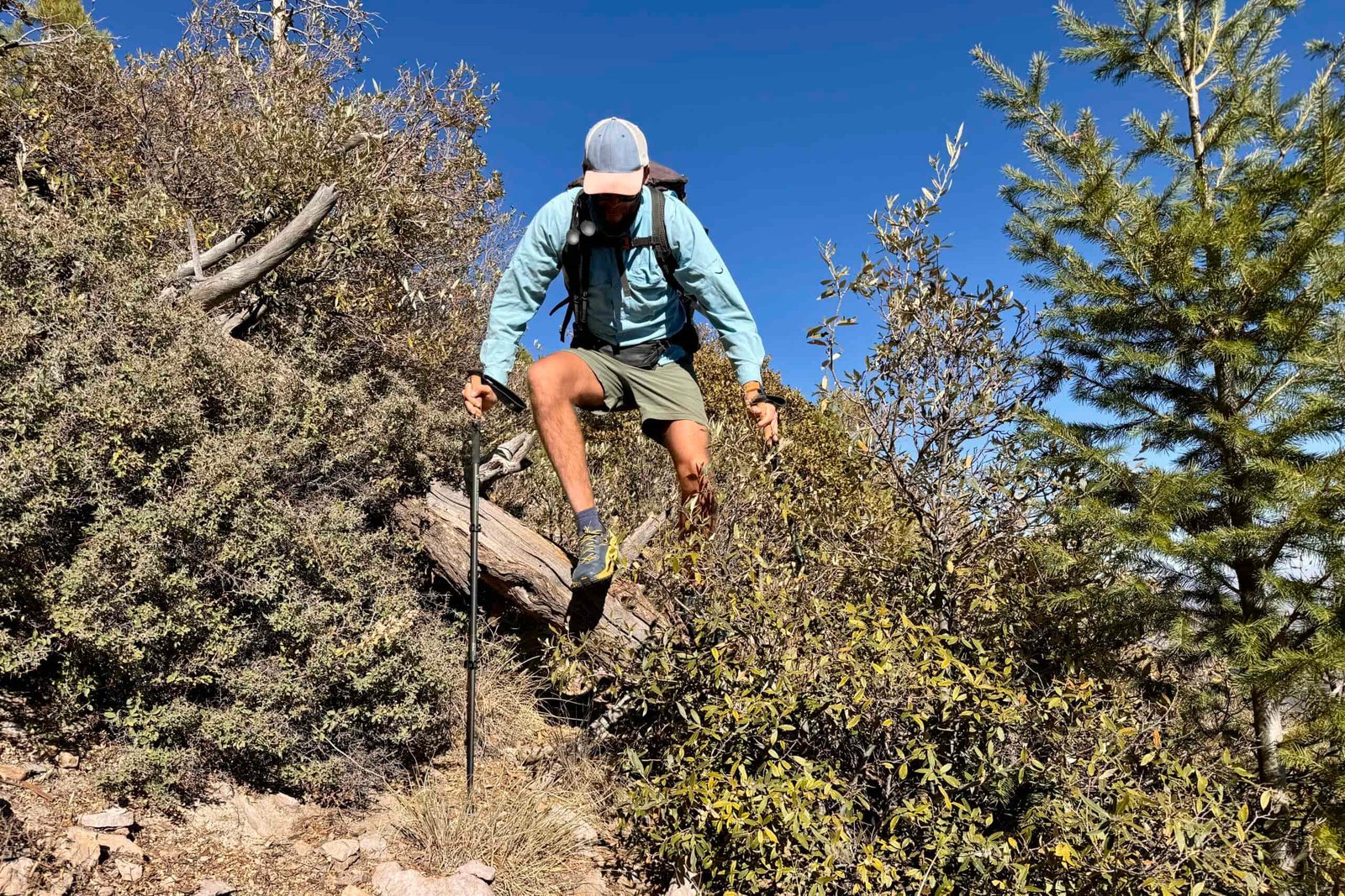 A person wearing a backpack is using trekking poles to lift himself over a log in some bushes.