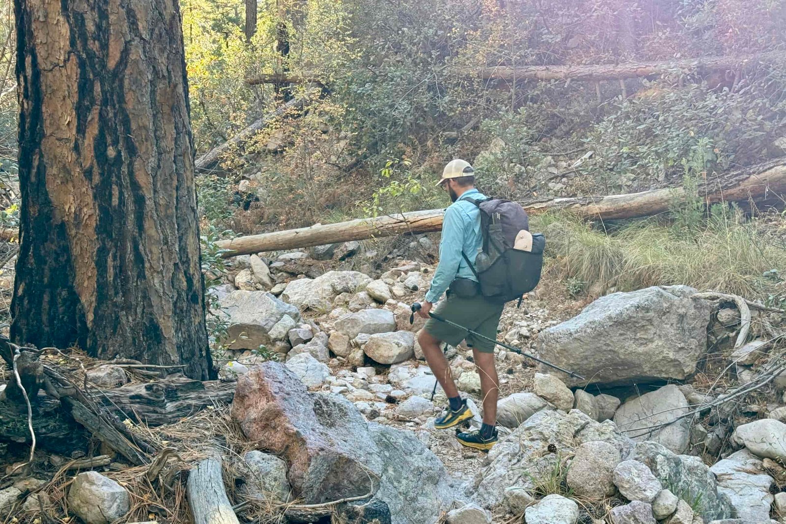 A person wearing a backpack and holding trekking poles is walking in some rocks in a forest.