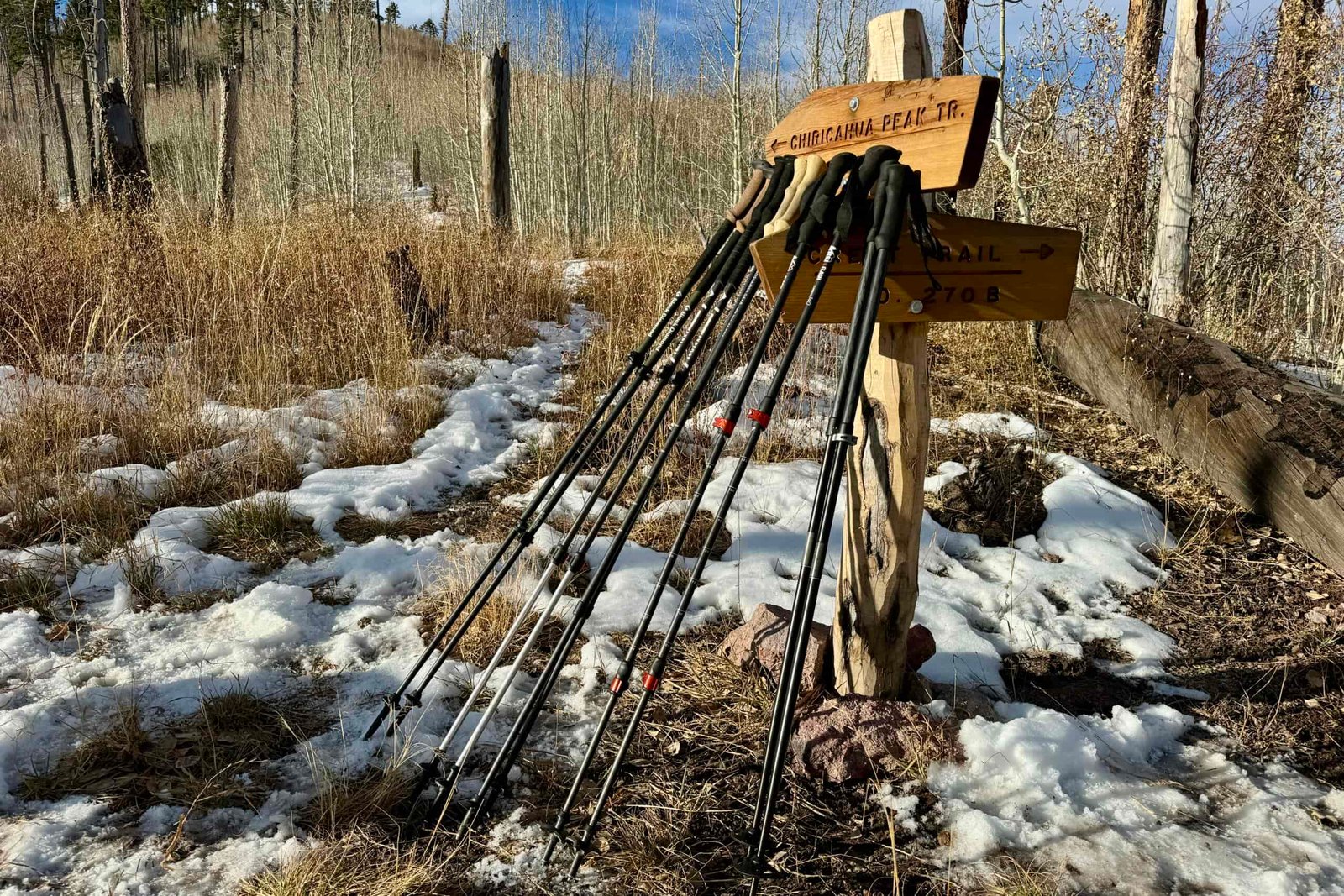 Five pairs of trekking poles lean against a trail sign that says "Chiricahua Peak" with some snow on the ground and trees in the background.