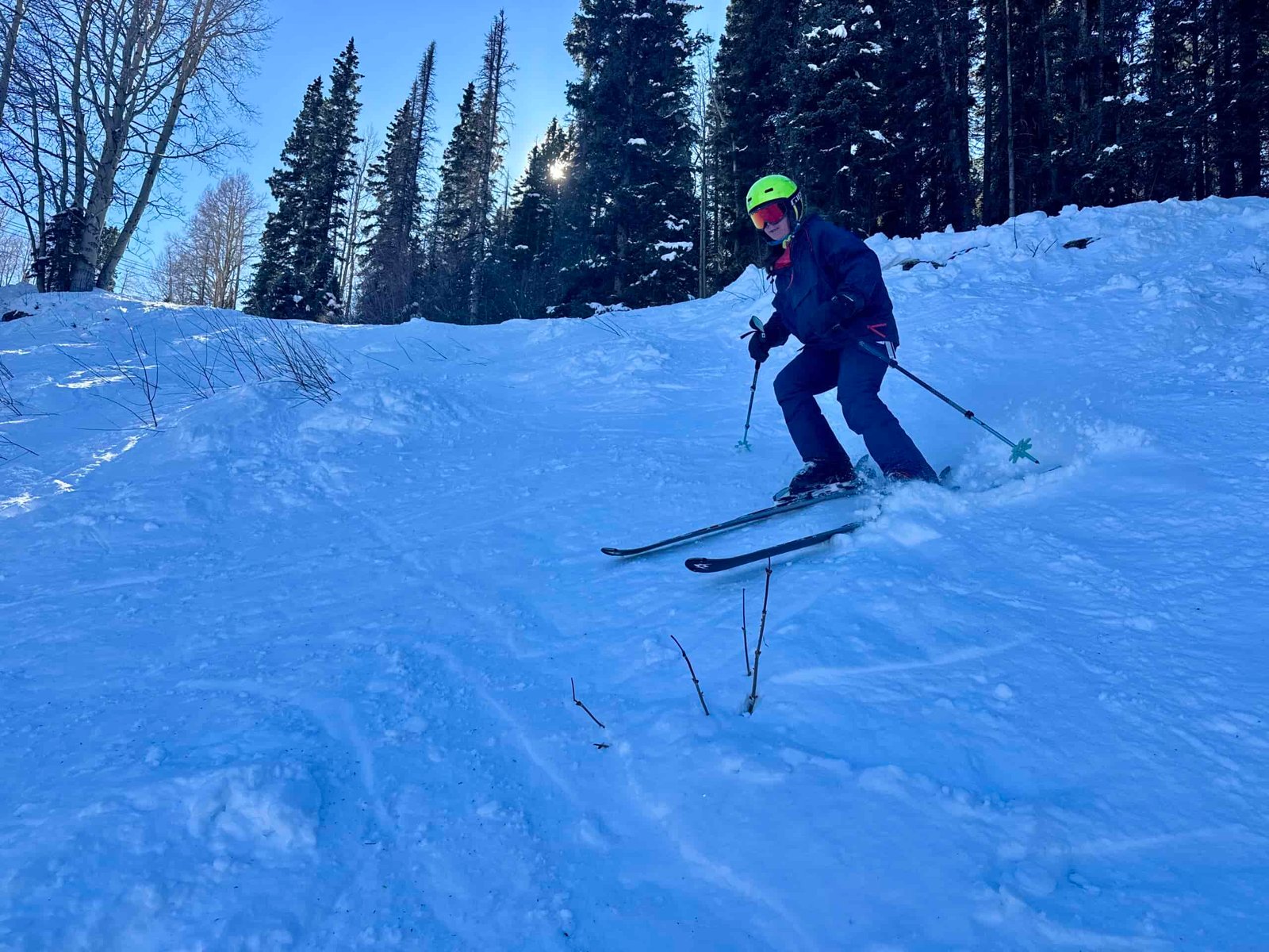 A person is skiing down a ski run in the trees holding the Black Diamond Pursuit trekking poles.