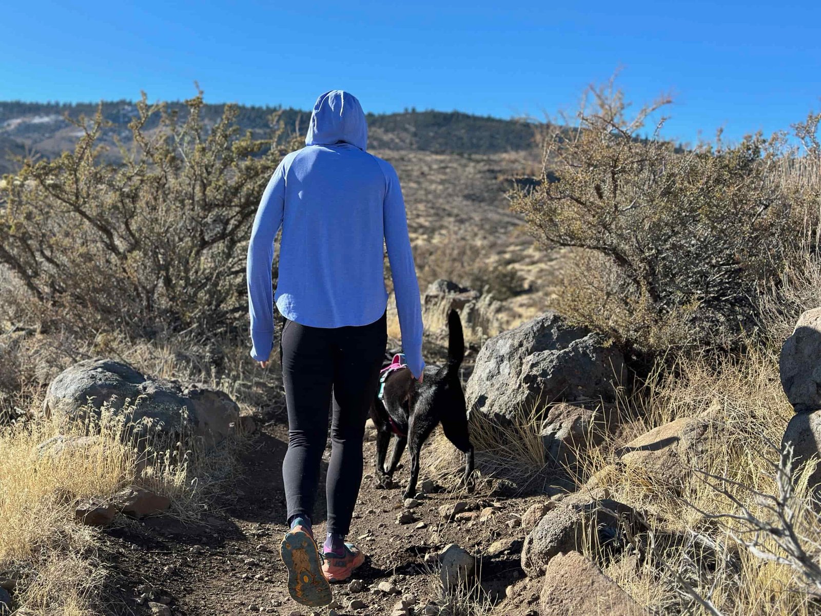 woman hiking in high desert with dog