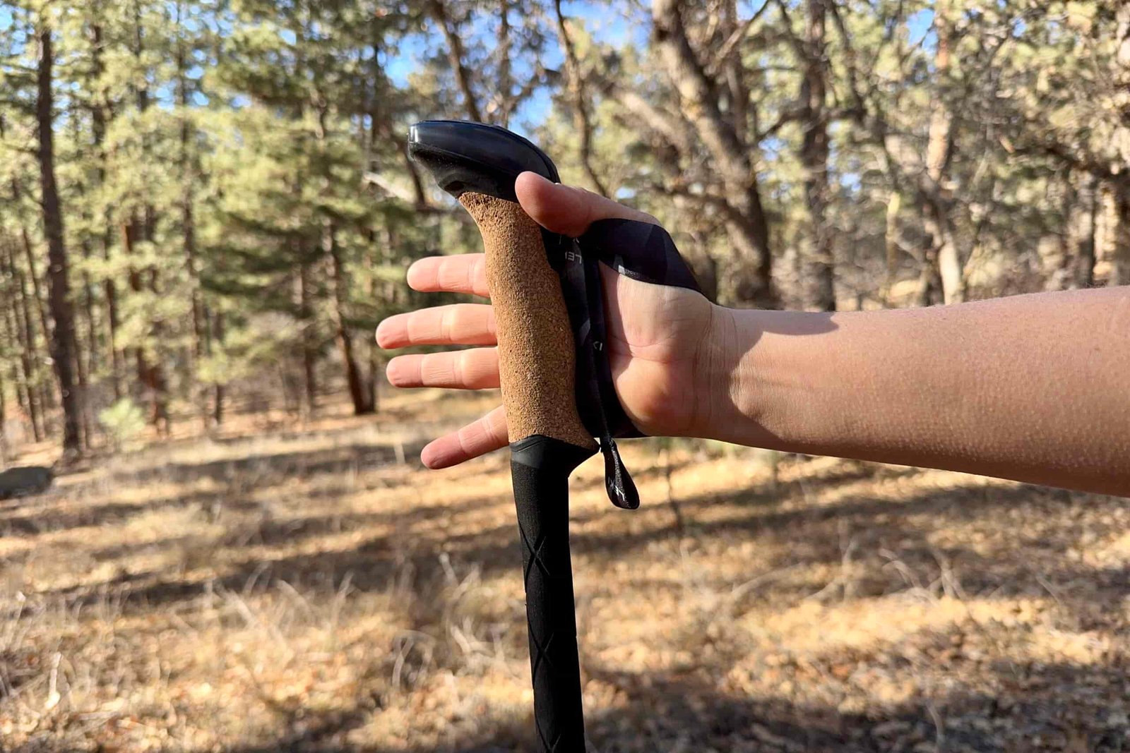 A close up of a hand holding the cork grip of the Leki Black Series FX Carbon pole with a forest in the background.