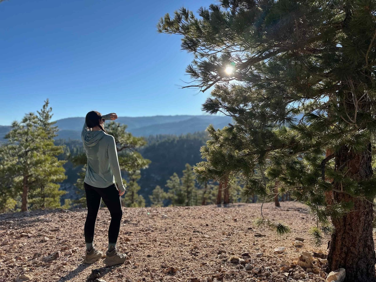 woman hiking with backpacking pack on in pine forest