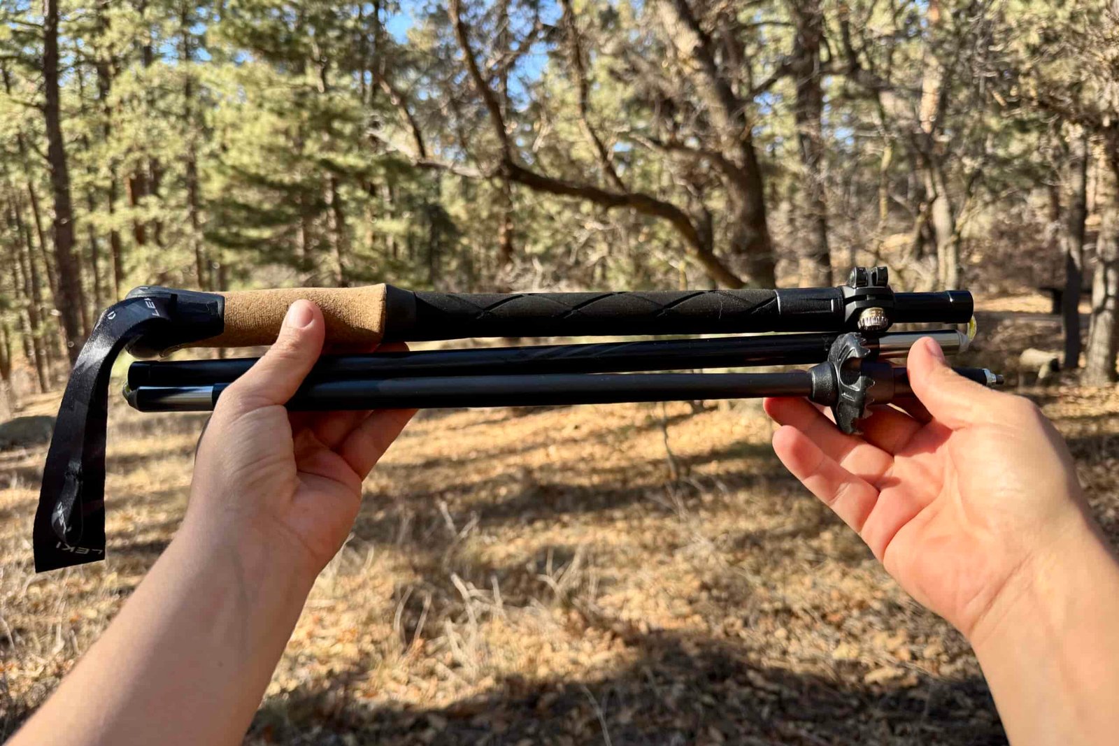 Two hands are holding up the Leki Black Series FX Carbon in its collapsed state. There is a forest in the background.