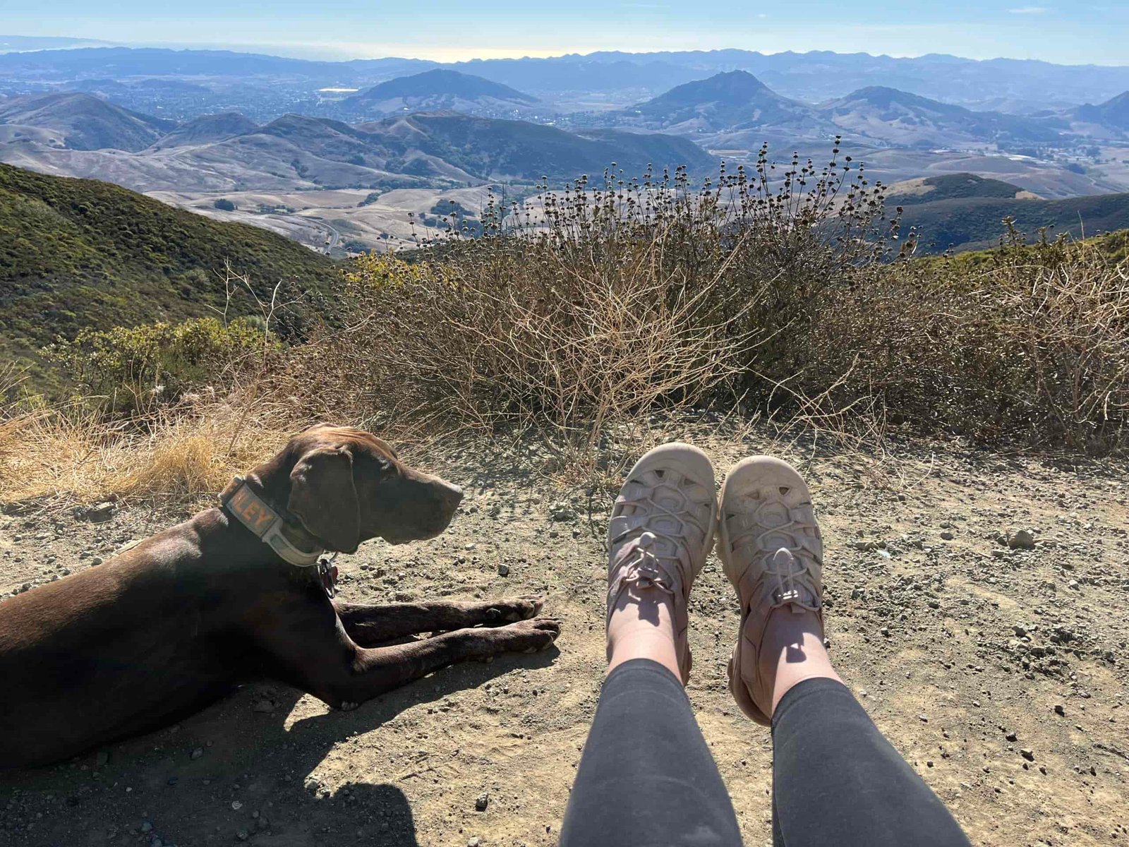 Our tester on a hike wearing the KEEN Newport H2 sandals.