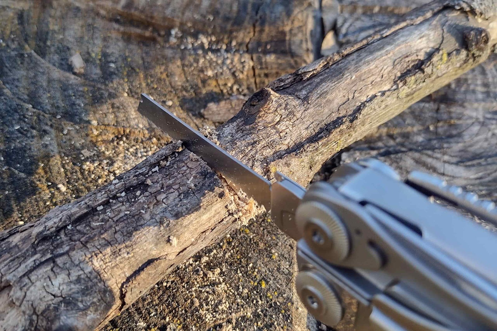 The Leatherman Surge with its saw extended, cutting through a 2-inch branch.