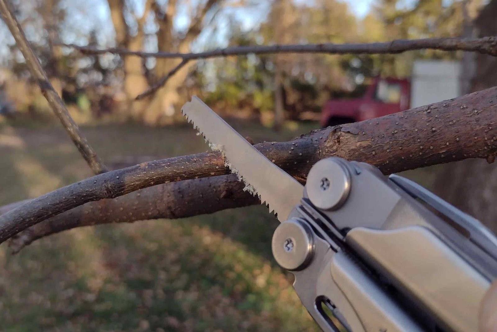 The Leatherman Wave+ sawing a small branch outside.