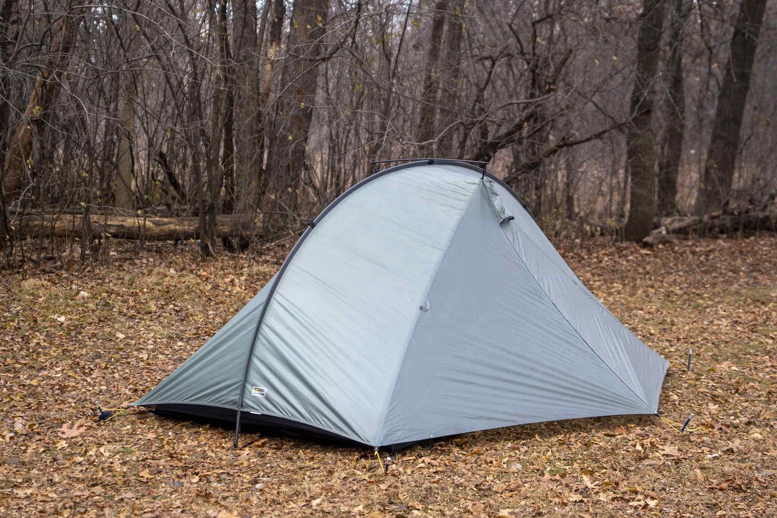a green tent in a forest clearing