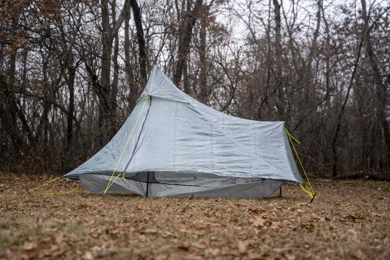 a silver green tent in a forest clearing