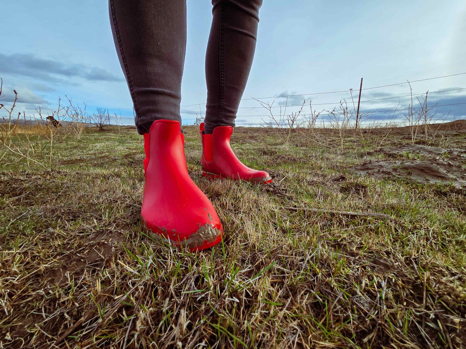 woman standing on grass in a field on a ranch