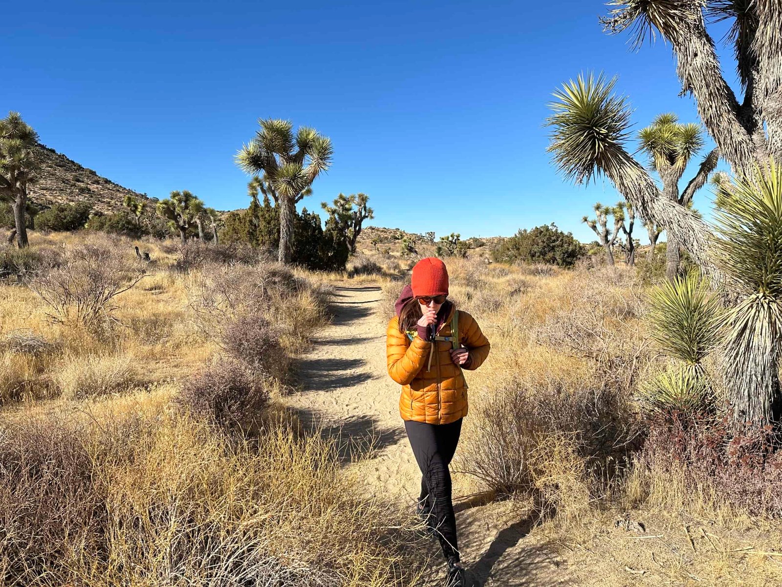 A hiker drinks from the Platypus Hoser while hiking on a trail in the desert with Joshua Trees in the background.