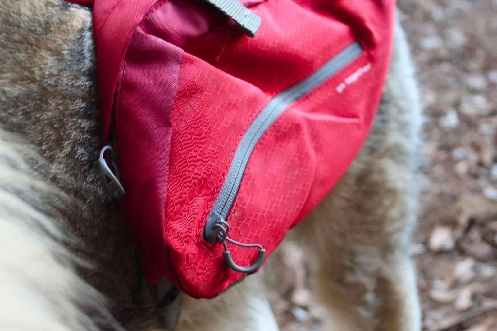 Small pocket on the outside of the Kurgo Baxter saddlebag