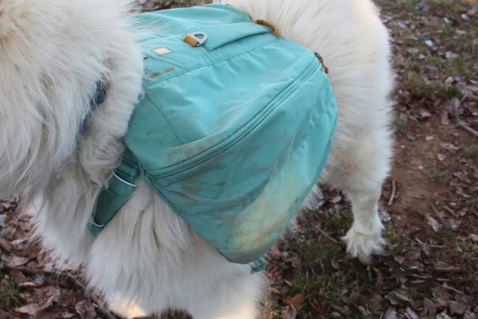 Close up of the side of the Ruffwear Front Range Day Pack showing the saddlebag zipper