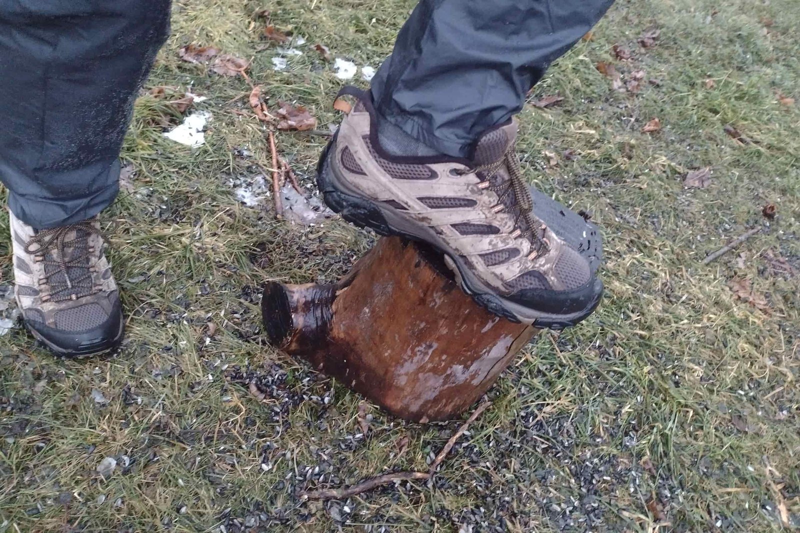 Closeup of someone wearing the Zpacks Vertice rain pants, stepping on a stump.