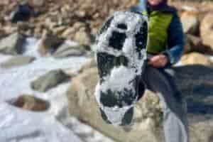 A hiker showing the bottom of his shoe which has an ice cleat caked with snow.