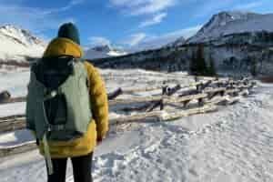 A woman faces away from the camera in front of a snowy mountain landscape wearing a green backpack.