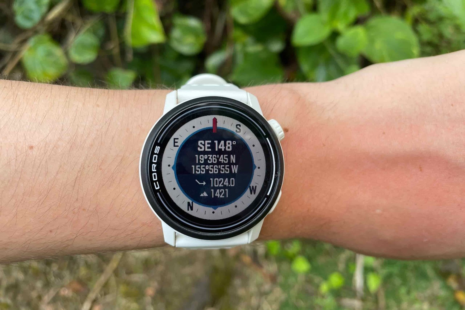 A watch face showing the compass.