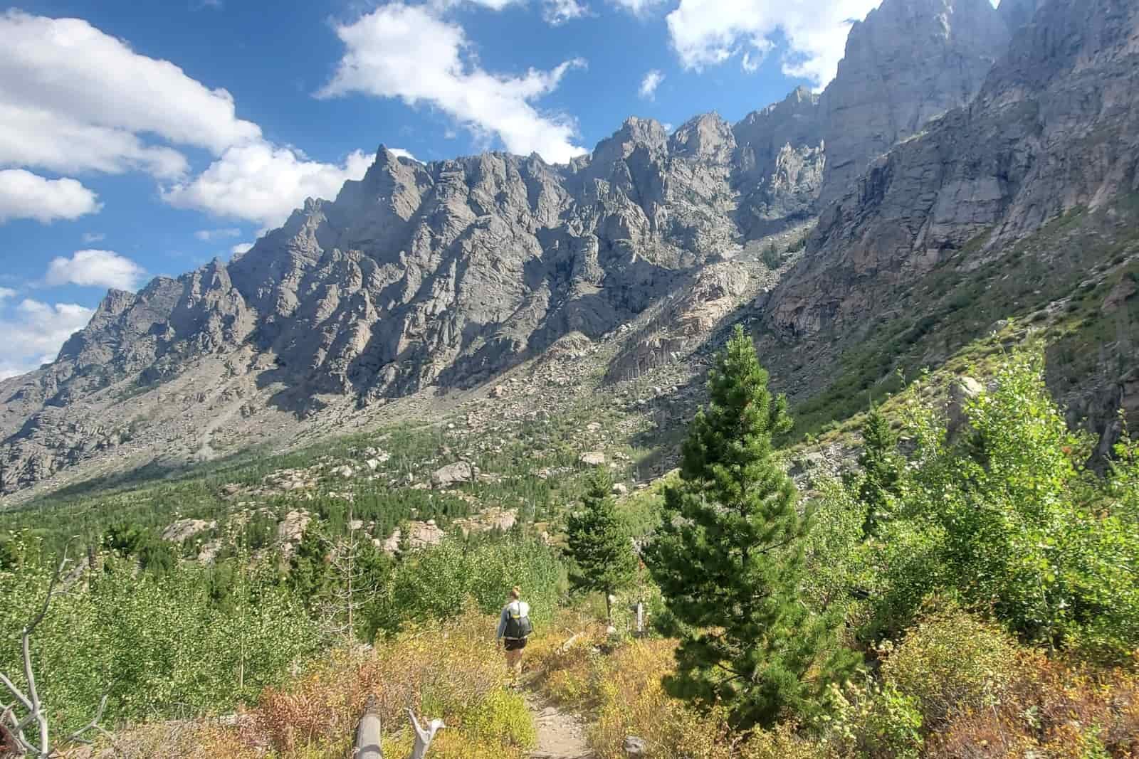 A woman hikes through a sparse forest under high cliffs.