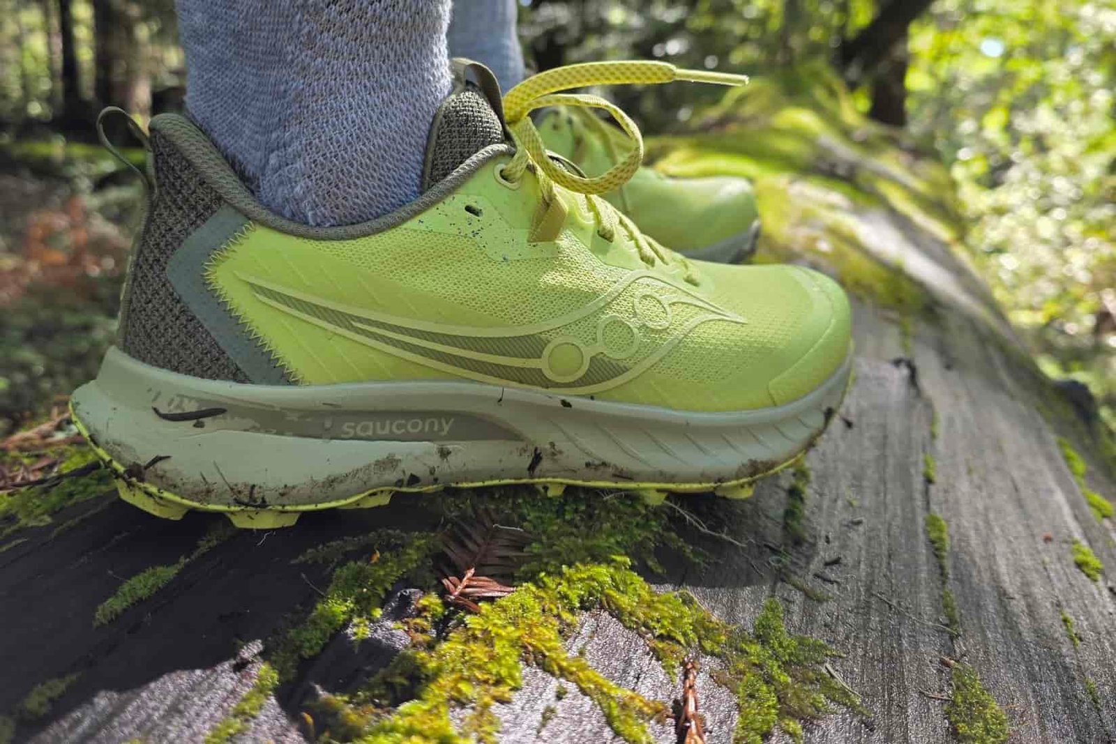 Close-up showing the Saucony Peregrine 15 shoes, as a hiker stands on a mossy fallen tree.