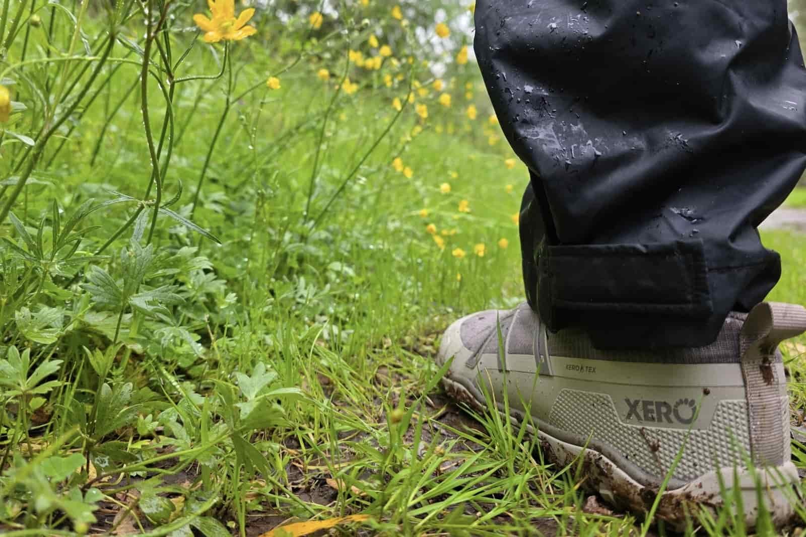 Close up showing the side profile of the Xero Shoes along a wildflower- lined path.