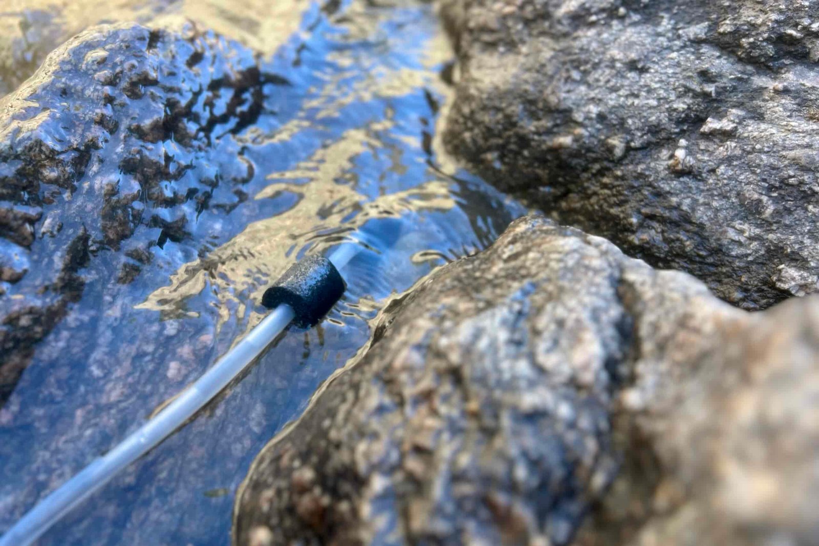 A close up of a hose with pre filter attached submersed in a creek.