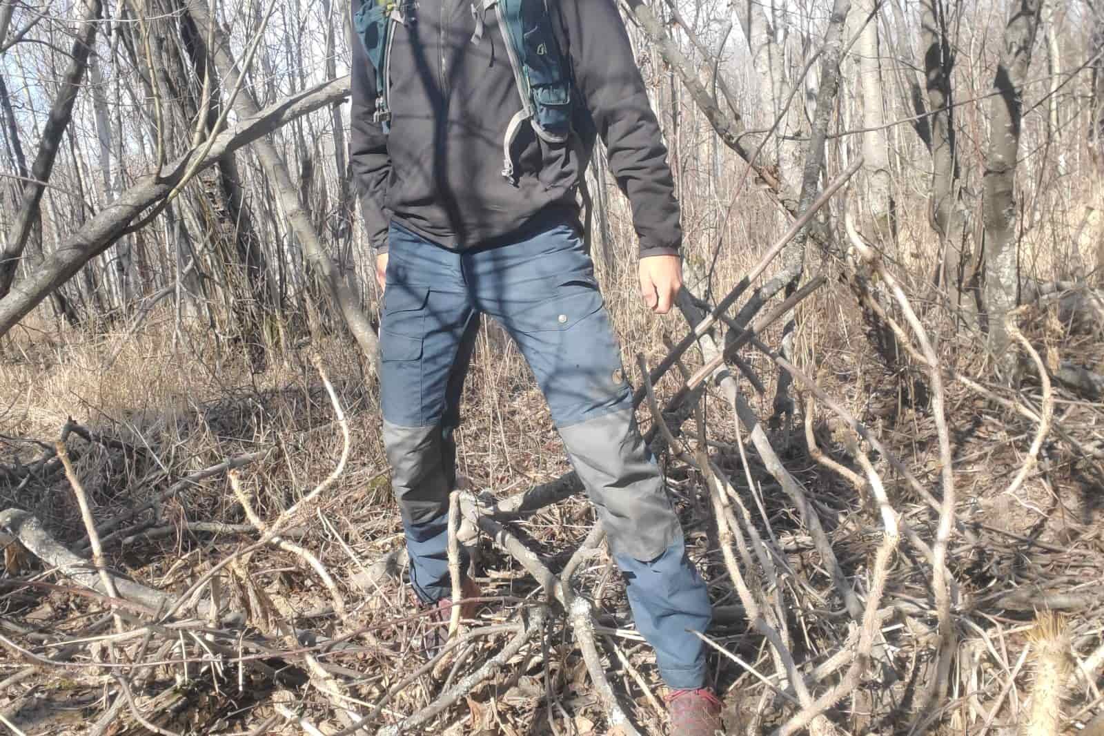 A man hikes through spikey plants.