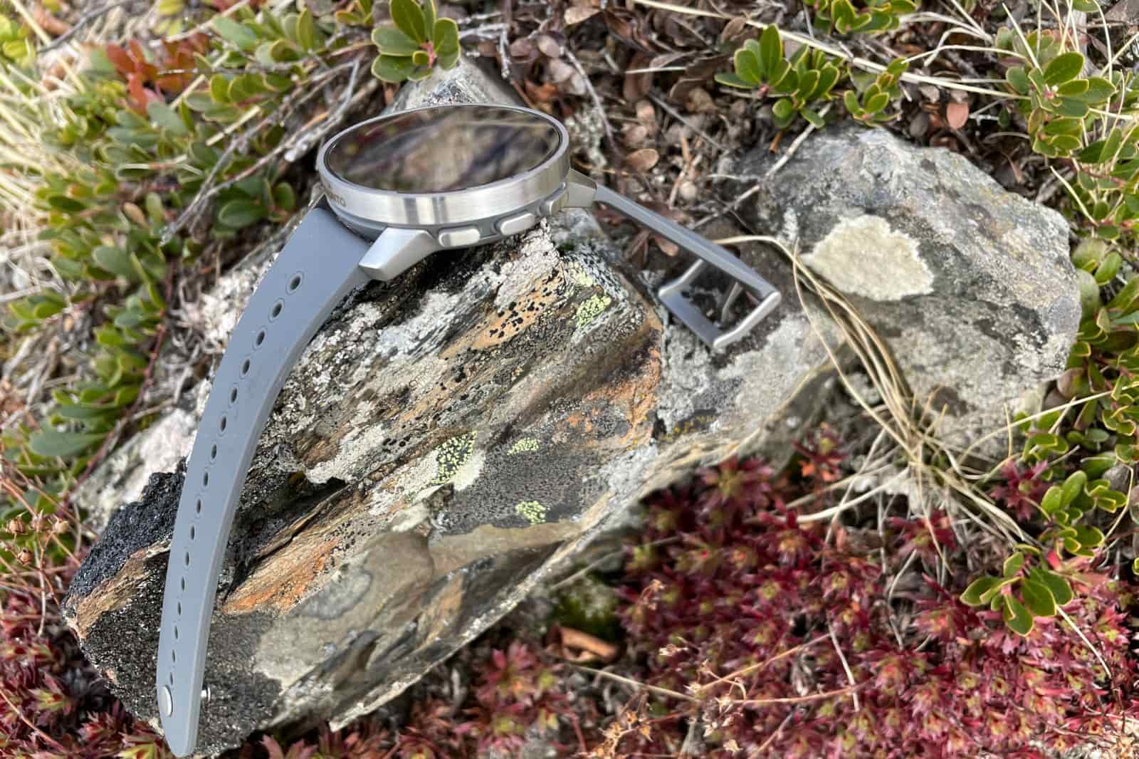 A watch sits on a rock with alpine plants.