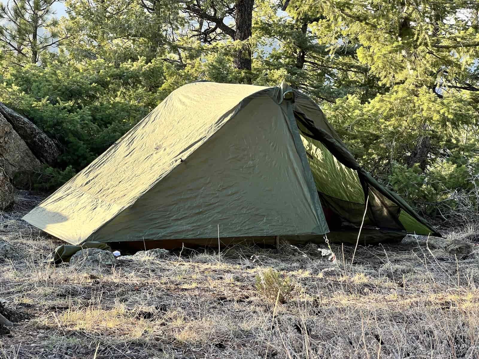 A green trekking pole tent setup in a pine forest