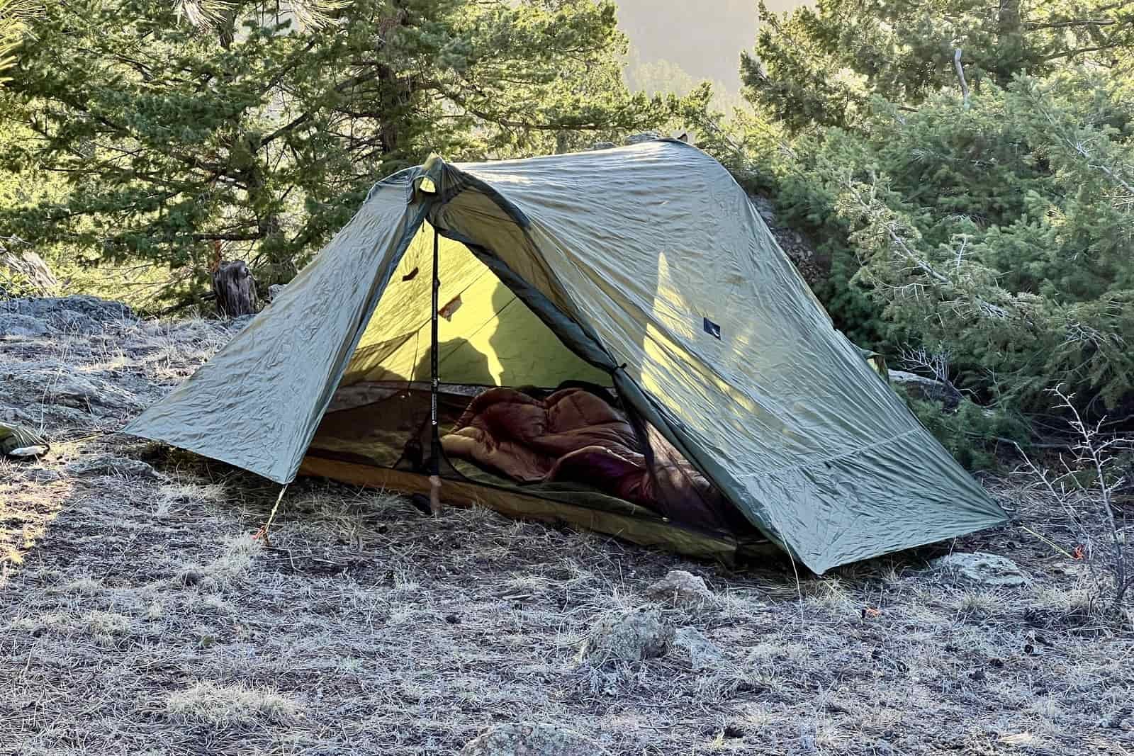 A green trekking pole tent setup in a pine forest with the doors open to a view of the inside