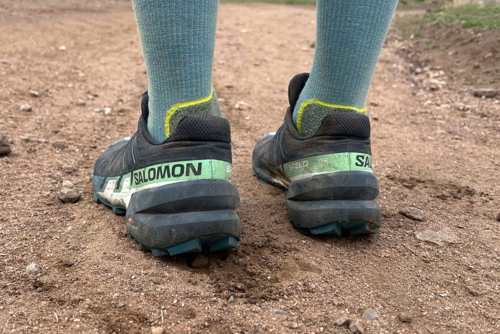 Close up image of a pair of trail runners from behind, showing the structured heel.